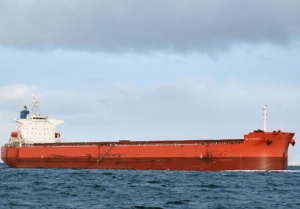 Lion Shipbrokers: Fourteen Vessels Sold Last Week