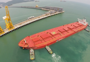 China Eyes Iron Ore Shipping Partnership with Vale