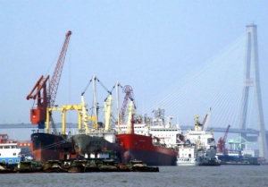 Shipyards Feather in Coscos Cap