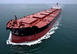 Brazilian Vale Mulls Fleet Expansion