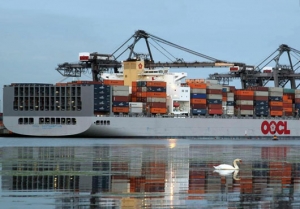 Overcapacity Likely to Persist in Container Shipping Market