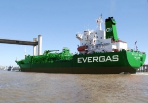 High Expectations from Italy on MRV Implementation