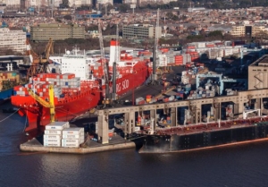 Reconciling Ship Size with Port Capabilities