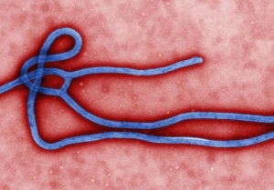 Port of New Orleans Ebola Scare False Alarm