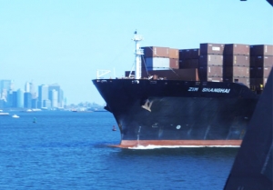 ZIM Ship Targeted by Pro-Palestinian Protesters Again