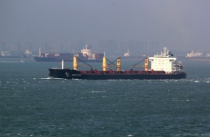 Jebel Ali Port Welcomes Largest Bulker Ever