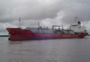 Image of the Day: Ocean Scout Wetting Her Beak