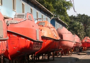 DMA: Denmark Brings Up Issue of Lightweight Ships at Council Meeting