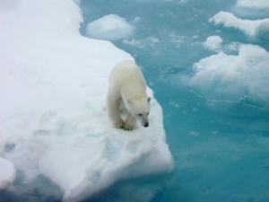 Arctic Temperatures Still Rising