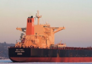Spanish Docker Dies on Board Bulk Carrier