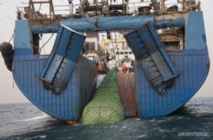Australia to Ban Supertrawlers