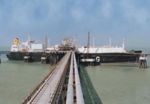 Gulftainer Marks 400,000 TEU Milestone at SCT