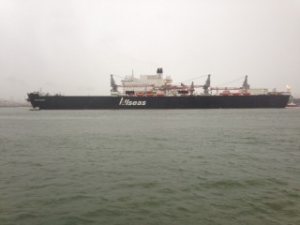 VIDEO: Pieter Schelte Reaches Rotterdam