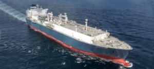 Cruiseship Scrapes Hoegh Gallant
