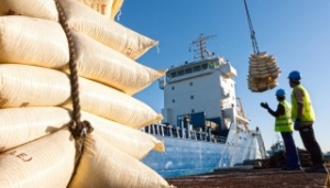Abu Dhabi Ports Invests in Terminal Management Software