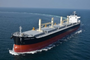 Dismal Dry Bulk Market Bankrupts Copenship