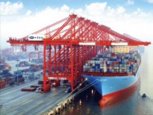 Shanghai Port Improves January Container Stats