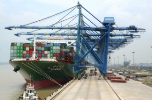 Momentous Year for Westports