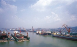 COSCOs Profit Down