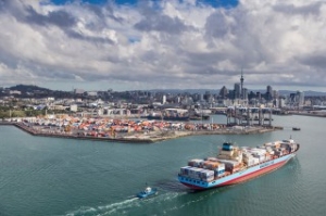 Ports of Auckland Preps for Rising Volumes