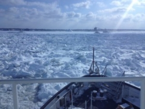 Canadian Icebreaker Working to Free Stuck Cargo Ship