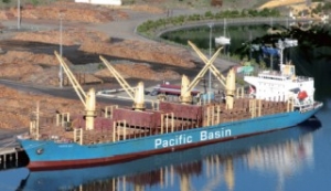 Pacific Basin Posts Loss amid Dismal Dry Bulk Market