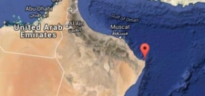 Ship Carrying Cattle Sinks off Oman