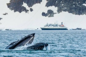 Merger Leaves Lindblad Hungry for Newbuilds