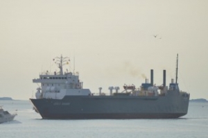 Ro-Ro Ship Catches Fire off New York