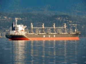 New Zealand Court Fines Drunken Ships Master