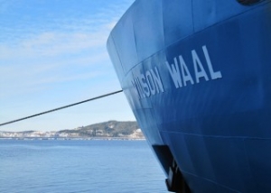 Wilson Orders Bulker Trio