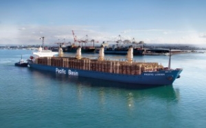 Pacific Basin Sees Dry Bulk Glut Continuing