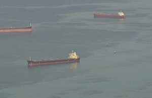 Toxic Oil Spill in English Bay, Cleanup Underway