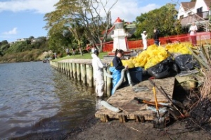 Mobil Apologizes for Tauranga Spill