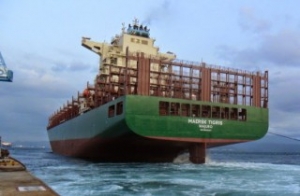 Maersk Tigris Seized due to Unresolved Cargo Claim