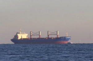 Goldenport Takes Over Bulker Duo from Sentinel