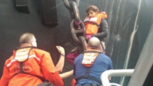 Update: Second Activist Leaves Shell Ship