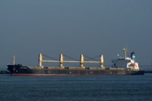 Sulphur-Laden Bulker Runs Aground in Gulf of Mexico