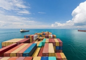 Smaller Ships Prove Popular in New Services