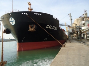 Diana Fixes Bulker, Sells Additional Notes