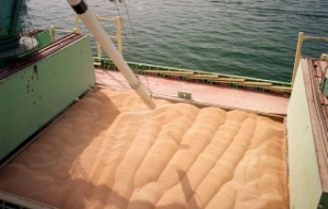Russia Starts Shipping Grain to Iran, Talks on Expanding Barter Deal Underway