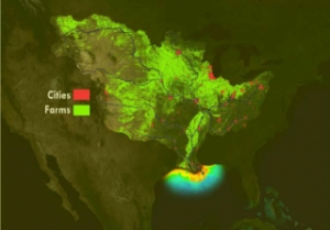 Gulf of Mexico Dead Zone Unchanged
