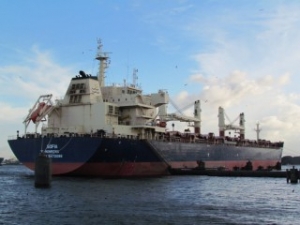 Liberia-Flagged Bulker Runs Aground off Brazil