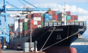 Filipino Man Missing after Falling from Boxship off New Zealand
