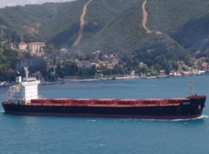 Diana Finds Work for Panamax Duo