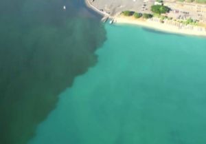 Matson to Pay USD 15.4 Million for Hawaii Molasses Spill