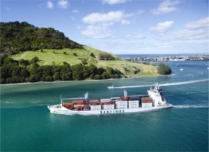 Reefer Container Ship Fleet in Growth Mode