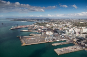 Ports of Auckland Mulling Container Terminal Automation, 50 Jobs at Risk