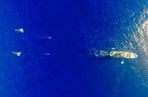 The Ocean Cleanup: Great Pacific Garbage Patch Is a Ticking Time Bomb