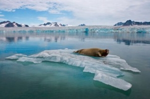 Warmest Year Ever Prompts NOAA Climate Change Strategy